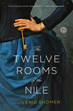 The Twelve Rooms of the Nile (eBook, ePUB) - Shomer, Enid