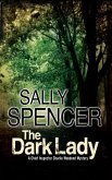 The Dark Lady (eBook, ePUB)