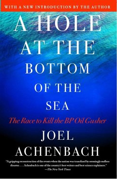 A Hole at the Bottom of the Sea (eBook, ePUB) - Achenbach, Joel