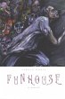 Funhouse (eBook, ePUB) - Bild 1