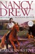 Mystery at Moorsea Manor (eBook, ePUB) - Bild 1