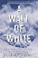 A Wall of White (eBook, ePUB) A Wall of White (eBook, ePUB)