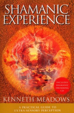 Shamanic Experience (eBook, ePUB) - Meadows, Kenneth