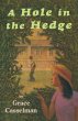 A Hole in the Hedge (eBook, ePUB) - Bild 1