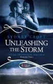 Unleashing the Storm, A Rouge Paranormal Romance (eBook, ePUB)