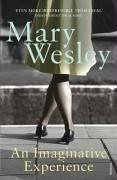 An Imaginative Experience (eBook, ePUB) - Wesley, Mary