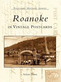 Roanoke in Vintage Postcards (eBook, ePUB)