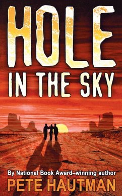 Cover Hole in the Sky (eBook, ePUB)