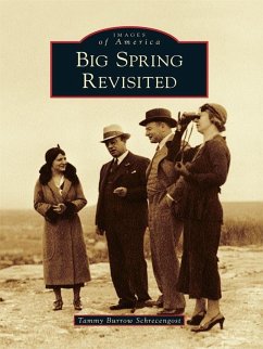Cover Big Spring Revisited (eBook, ePUB)