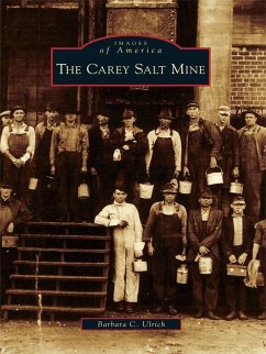 Carey Salt Mine (eBook, ePUB) - Ulrich, Barbara C.