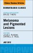 Melanoma and Pigmented Lesions, An... - Bild 1
