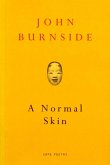 A Normal Skin (eBook, ePUB)