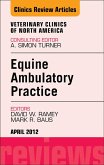 Ambulatory Practice, An Issue of Veterinary Clinics: Equine Practice (eBook, ePUB)
