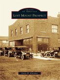 Lost Mount Prospect (eBook, ePUB)