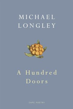Cover A Hundred Doors (eBook, ePUB)