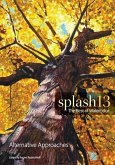 Splash 13 (eBook, ePUB)