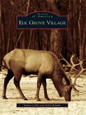 Elk Grove Village (eBook, ePUB)