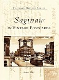 Saginaw in Vintage Postcards (eBook, ePUB)