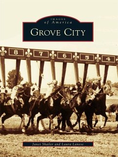 Grove City (eBook, ePUB) - Shailer, Janet