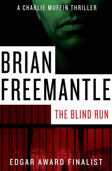 The Blind Run (eBook, ePUB)