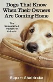 Dogs That Know When Their Owners Are Coming Home (eBook, ePUB)