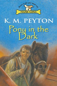 Cover Pony In The Dark (eBook, ePUB)
