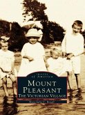 Mount Pleasant (eBook, ePUB)
