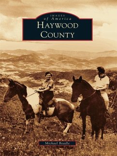 Haywood County (eBook, ePUB) - Beadle, Michael