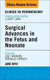 Innovations in Fetal and Neonatal Surgery, An Issue of Clinics in Perinatology (eBook, ePUB)