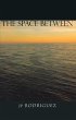The Space Between (eBook, ePUB) - Bild 1