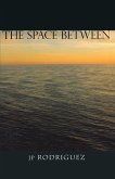 The Space Between (eBook, ePUB)