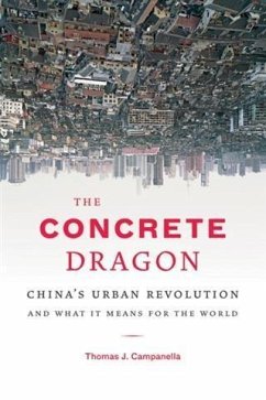 Cover Concrete Dragon (eBook, ePUB)