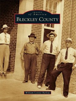 Bleckley County (eBook, ePUB) - Barlow, William Lonnie