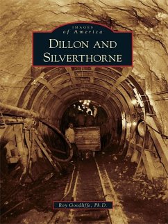 Cover Dillon and Silverthorne (eBook, ePUB)
