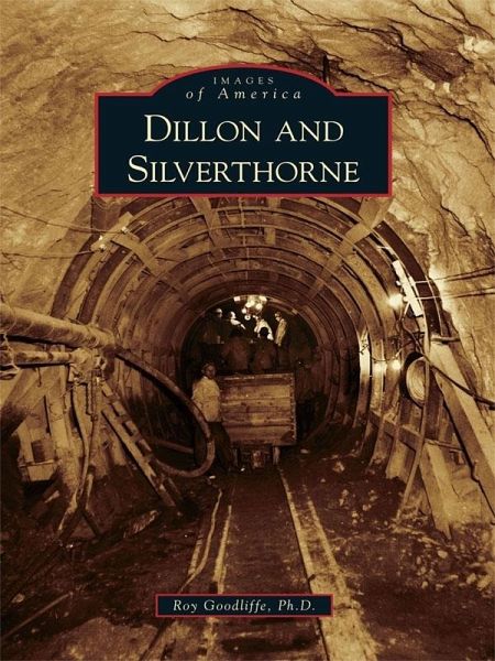 Dillon and Silverthorne (eBook, ePUB) Dillon and Silverthorne (eBook, ePUB)