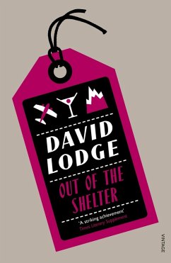 Out Of The Shelter (eBook, ePUB) - Lodge, David