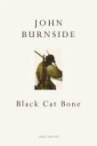Black Cat Bone (eBook, ePUB)