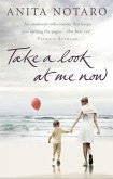 Take A Look At Me Now (eBook, ePUB)