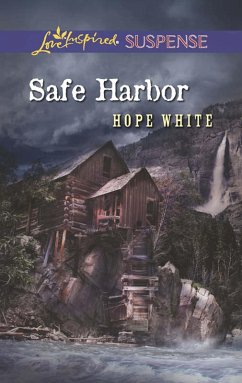 Cover Safe Harbor (eBook, ePUB)