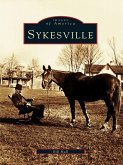 Sykesville (eBook, ePUB)