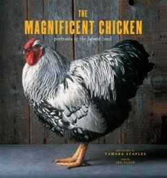 Cover Magnificent Chicken (eBook, ePUB)