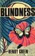 Blindness (eBook, ePUB) - Bild 1