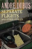 Separate Flights (eBook, ePUB)