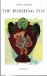 Bursting Test (eBook, ePUB) - Bild 1