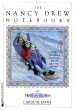 Thrill on the Hill (eBook, ePUB) - Bild 1