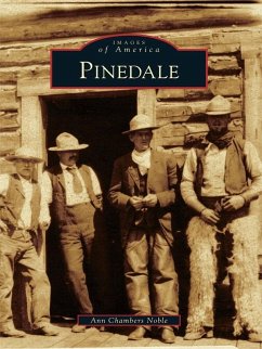 Pinedale (eBook, ePUB) - Noble, Ann Chambers