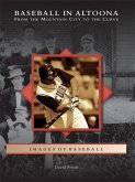 Baseball in Altoona (eBook, ePUB)