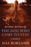 The Dog Who Came to Stay (eBook, ePUB)