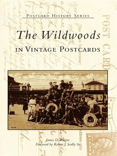 Cover Wildwoods in Vintage Postcards (eBook, ePUB)