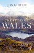 The Story of Wales (eBook, ePUB) - Bild 1